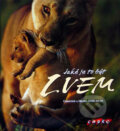 Kniha: Jaké je to být lvem (Christine Denis-Huot a Michel Denis-Huot), 2005 Kniha: Jaké je to být lvem (Christine Denis-Huot a Michel Denis-Huot), 2005