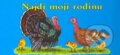 Kniha: Najdi moji rodinu (Antonín Šplíchal). INFOA, 2005 Kniha: Najdi moji rodinu (Antonín Šplíchal). INFOA, 2005