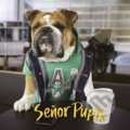Kniha: Seňor Pupík (Seňor Pupík). Kontrast, 2021 Kniha: Seňor Pupík (Seňor Pupík). Kontrast, 2021