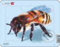 Puzzle: Hmyz - Včela Z2 Puzzle: Hmyz - Včela Z2