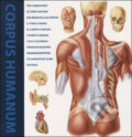 Kniha: The Human Body (Loft Publications). Loft Publications Kniha: The Human Body (Loft Publications). Loft Publications