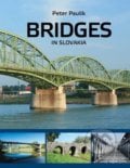 Bridges in Slovakia - Peter Paulík, ProPonti, 2014