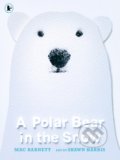 A Polar Bear in the Snow - Mac Barnett, Shawn Harris (ilustrátor), Walker books, 2021