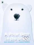 Kniha: A Polar Bear in the Snow (Mac Barnett). Walker books, 2021 Kniha: A Polar Bear in the Snow (Mac Barnett). Walker books, 2021