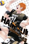 Kniha: Haikyu!! 45 (Haruichi Furudate). Viz Media, 2021 Kniha: Haikyu!! 45 (Haruichi Furudate). Viz Media, 2021