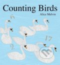 Kniha: Counting Birds (Alice Melvin). Tate Publishing, 2014 Kniha: Counting Birds (Alice Melvin). Tate Publishing, 2014