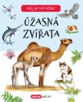 Kniha: Úžasná zvířata (INFOA). INFOA, 2021 Kniha: Úžasná zvířata (INFOA). INFOA, 2021