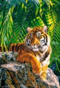 Sumatran tigress, Castorland