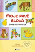 Kniha: Moje prvé slová - Spoznávam svet (Fragment). Fragment, 2012 Kniha: Moje prvé slová - Spoznávam svet (Fragment). Fragment, 2012