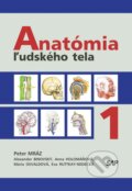 Anatómia ľudského tela I. - Peter Mráz, 2012