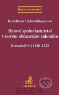 Kniha: Bytové spoluvlastnictví v novém občanském zákoníku (Eva Kabelková a Pavla Schödelbauerová). C. H. Beck, 2013 Kniha: Bytové spoluvlastnictví v novém občanském zákoníku (Eva Kabelková a Pavla Schödelbauerová). C. H. Beck, 2013