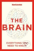 The Brain - New Scientist, 2022