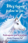 Kniha: Môj tajný jednorožec 4: Prekvapenie pod hviezdami (Linda Chapman), 2022 Kniha: Môj tajný jednorožec 4: Prekvapenie pod hviezdami (Linda Chapman), 2022