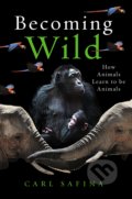 Kniha: Becoming Wild (Carl Safina). Oneworld, 2022 Kniha: Becoming Wild (Carl Safina). Oneworld, 2022