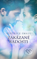 Kniha: Zakázané radosti (Bertrice Small). Baronet, 2013 Kniha: Zakázané radosti (Bertrice Small). Baronet, 2013