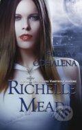 Kniha: Sukuba 6 (Richelle Mead). Domino, 2013 Kniha: Sukuba 6 (Richelle Mead). Domino, 2013