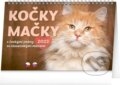 Stolní kalendář Kočky / Stolový kalendár Mačky 2023, Presco Group, 2022