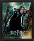 Harry Potter Obraz 3D - Snape (EPEE). EPEE, 2022 Harry Potter Obraz 3D - Snape (EPEE). EPEE, 2022