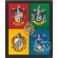 Harry Potter Obraz 3D - farebný (EPEE). EPEE, 2022 Harry Potter Obraz 3D - farebný (EPEE). EPEE, 2022