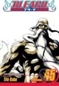 Kniha: Bleach 45 (Tite Kubo). Viz Media Kniha: Bleach 45 (Tite Kubo). Viz Media
