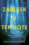 Kniha: Záblesk v temnote (Stacy Willingham). Motýľ, 2022 Kniha: Záblesk v temnote (Stacy Willingham). Motýľ, 2022