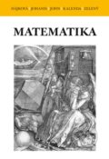 Kniha: Matematika (Vladimíra Hájková a kolektiv). MatfyzPress, 2012 Kniha: Matematika (Vladimíra Hájková a kolektiv). MatfyzPress, 2012