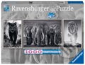 Puzzle: Panter, slon a lev (Ravensburger). Ravensburger, 2022 Puzzle: Panter, slon a lev (Ravensburger). Ravensburger, 2022