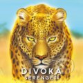 Společenská hra: Divoká Serengeti (REXhry). REXhry, 2022 Společenská hra: Divoká Serengeti (REXhry). REXhry, 2022