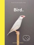 Kniha: Bird (Hoxton Mini Press). Hoxton mini Press, 2022 Kniha: Bird (Hoxton Mini Press). Hoxton mini Press, 2022