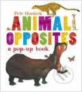 Kniha: Animal Opposites (Petr Horáček). Walker books, 2013 Kniha: Animal Opposites (Petr Horáček). Walker books, 2013