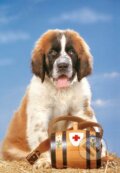 Puzzle: St. Bernardín (Castorland). Castorland Puzzle: St. Bernardín (Castorland). Castorland