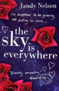 Kniha: The Sky is Everywhere (Jandy Nelson). Walker books, 2011 Kniha: The Sky is Everywhere (Jandy Nelson). Walker books, 2011