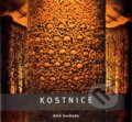 Kniha: Kostnice u svatého Jakuba (Aleš Svoboda). Edice knihy Omega, 2014 Kniha: Kostnice u svatého Jakuba (Aleš Svoboda). Edice knihy Omega, 2014