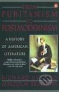 Kniha: From Puritanism to Postmodernism (Malcolm Bradbury a Richard Ruland). Penguin Books, 1993 Kniha: From Puritanism to Postmodernism (Malcolm Bradbury a Richard Ruland). Penguin Books, 1993