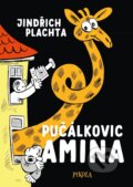 Kniha: Pučálkovic Amina (Jindřich Plachta). Pikola, 2023 Kniha: Pučálkovic Amina (Jindřich Plachta). Pikola, 2023