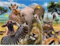 Safari (Norimpex). Norimpex Safari (Norimpex). Norimpex
