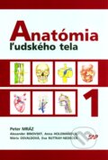 Kniha: Anatómia ľudského tela 1 (Peter Mráz a kolektív). Slovak Academic Press, 2004 Kniha: Anatómia ľudského tela 1 (Peter Mráz a kolektív). Slovak Academic Press, 2004