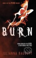 Kniha: Burn (Julianna Baggott). Headline Book, 2014 Kniha: Burn (Julianna Baggott). Headline Book, 2014