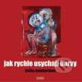 Kniha: Jak rychle usychají barvy (Květa Monhartová). Nava, 2023 Kniha: Jak rychle usychají barvy (Květa Monhartová). Nava, 2023
