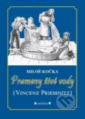 Kniha: Prameny živé vody (Miloš Kočka). Veduta, 2023 Kniha: Prameny živé vody (Miloš Kočka). Veduta, 2023