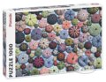 Puzzle: Mořští ježci (Piatnik). Piatnik, 2023 Puzzle: Mořští ježci (Piatnik). Piatnik, 2023