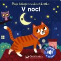 Kniha: V noci (Svojtka&Co.). Svojtka&Co., 2023 Kniha: V noci (Svojtka&Co.). Svojtka&Co., 2023