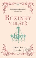 Kniha: Rozinky v blátě (Jan David Novotný). Ikar CZ, 2023 Kniha: Rozinky v blátě (Jan David Novotný). Ikar CZ, 2023