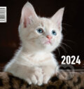 Mačička 2024, 2023