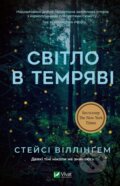 Kniha: Svitlo v temryavi (Stacy Willingham). Vivat, 2023 Kniha: Svitlo v temryavi (Stacy Willingham). Vivat, 2023