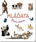 Kniha: Mláďata, 2023 Kniha: Mláďata, 2023