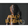 Kniha: Malý Buddha (Jana Ryndová). Národní galerie v Praze, 2021 Kniha: Malý Buddha (Jana Ryndová). Národní galerie v Praze, 2021