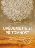 Kniha: Uvědomujte si přítomnost (Jon Kabat-Zinn), 2015 Kniha: Uvědomujte si přítomnost (Jon Kabat-Zinn), 2015