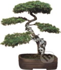 Kniha: Bonsai (Christine Stewart a Jan Tykač). , 1987 Kniha: Bonsai (Christine Stewart a Jan Tykač). , 1987