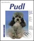 Kniha: Pudl (Katrin Behrendová). Vašut Kniha: Pudl (Katrin Behrendová). Vašut